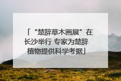 “楚辞草木画展”在长沙举行 专家为楚辞植物提供科学考据