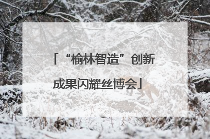 “榆林智造”创新成果闪耀丝博会