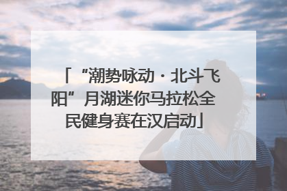 “潮势咏动・北斗飞阳”月湖迷你马拉松全民健身赛在汉启动