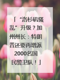 “洛杉矶骚乱”升级？加州州长：特朗普还要再增派2000名国民警卫队！