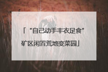 “自己动手丰衣足食”矿区闲置荒地变菜园
