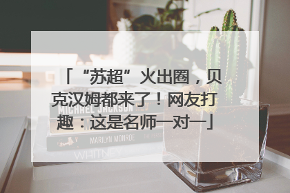 “苏超”火出圈，贝克汉姆都来了！网友打趣：这是名师一对一