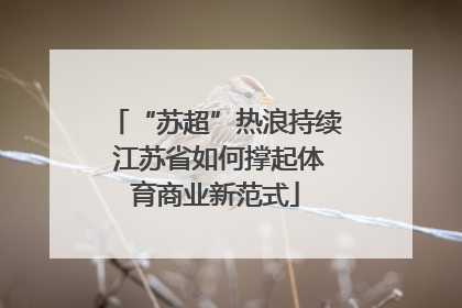 “苏超”热浪持续 江苏省如何撑起体育商业新范式