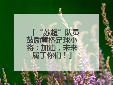 “苏超”队员鼓励黄桥足球小将：加油，未来属于你们！