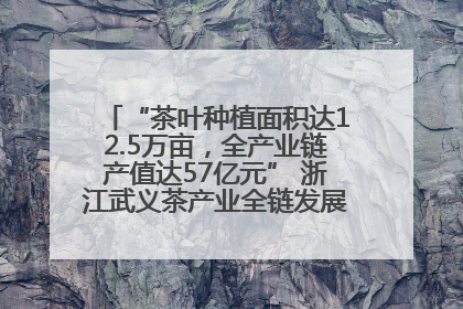 “茶叶种植面积达12.5万亩，全产业链产值达57亿元” 浙江武义茶产业全链发展“加速度”