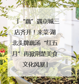 “藕”遇京城三店齐开！来菜·湖北头牌藕汤“红五月”再掀荆楚美食文化风暴