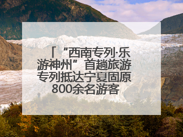 “西南专列·乐游神州”首趟旅游专列抵达宁夏固原 800余名游客开启清凉之旅