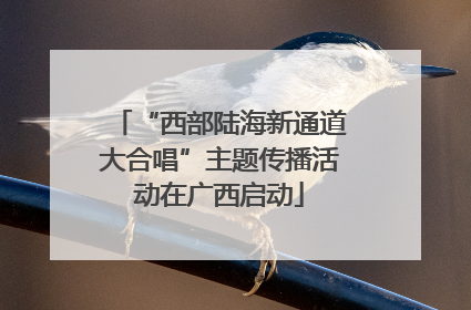 “西部陆海新通道大合唱”主题传播活动在广西启动