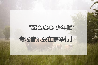 “韶音启心 少年赋”专场音乐会在京举行