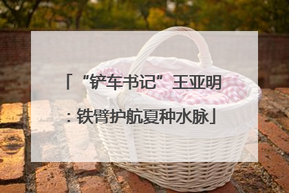 “铲车书记”王亚明：铁臂护航夏种水脉