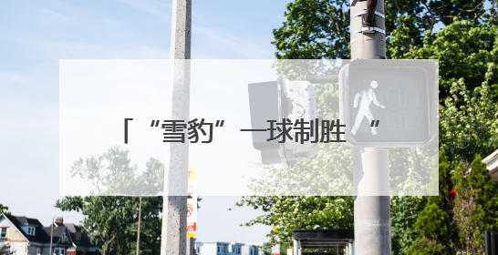 “雪豹”一球制胜 “盛宴”火爆全场——第二届“青超联赛”第二轮西宁主场比赛见闻