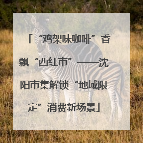 “鸡架味咖啡”香飘“西红市”——沈阳市集解锁“地域限定”消费新场景