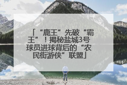 “鹿王”先破“霸王”！揭秘盐城3号球员进球背后的“农民街游侠”联盟