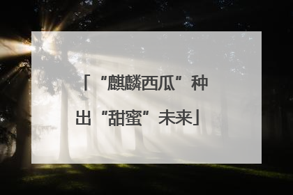 “麒麟西瓜”种出“甜蜜”未来