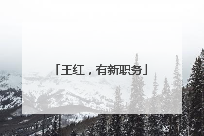 王红，有新职务