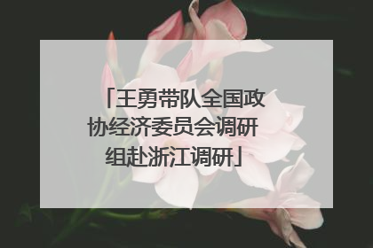王勇带队全国政协经济委员会调研组赴浙江调研