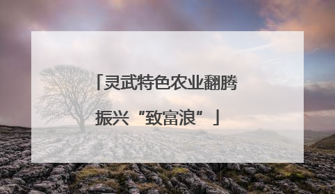 灵武特色农业翻腾振兴“致富浪”