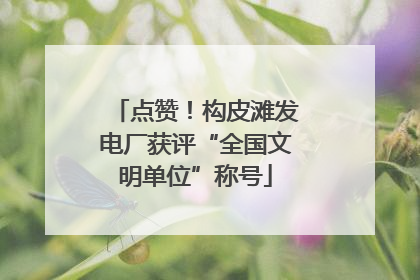 点赞！构皮滩发电厂获评“全国文明单位”称号