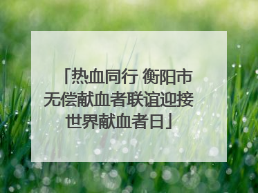 热血同行 衡阳市无偿献血者联谊迎接世界献血者日