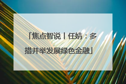 焦点智说丨任婧：多措并举发展绿色金融