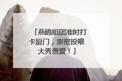 燕鸥组团准时打卡厦门，亲密投喂大秀恩爱！