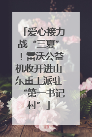 爱心接力战“三夏”！雷沃公益机收开进山东重工派驻“第一书记村”