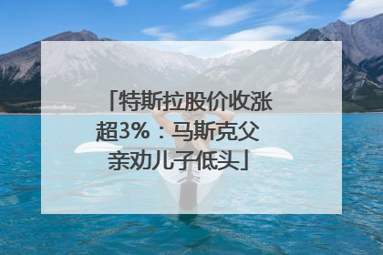 特斯拉股价收涨超3%：马斯克父亲劝儿子低头