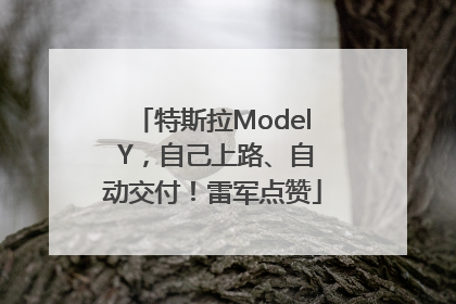 特斯拉Model Y，自己上路、自动交付！雷军点赞