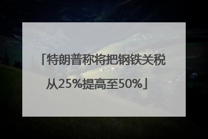 特朗普称将把钢铁关税从25%提高至50%