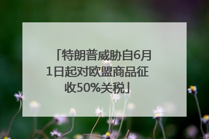特朗普威胁自6月1日起对欧盟商品征收50%关税