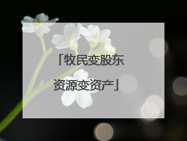 牧民变股东 资源变资产