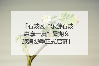 石鼓区“乐游石鼓·惠享一夏”暑期文旅消费季正式启幕