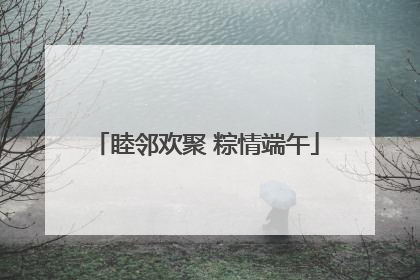 睦邻欢聚 粽情端午