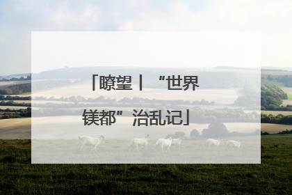 瞭望丨“世界镁都”治乱记