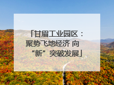 甘眉工业园区：聚势飞地经济 向“新”突破发展