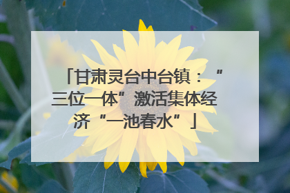 甘肃灵台中台镇：“三位一体”激活集体经济“一池春水”