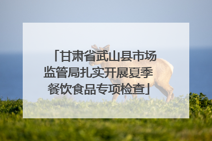 甘肃省武山县市场监管局扎实开展夏季餐饮食品专项检查