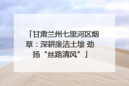 甘肃兰州七里河区烟草：深耕廉洁土壤 劲扬“丝路清风”
