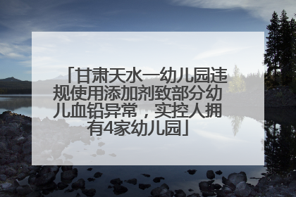 甘肃天水一幼儿园违规使用添加剂致部分幼儿血铅异常，实控人拥有4家幼儿园