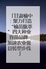 甘肃榆中：聚力打造“榆苗陇萃”四大种业育苗品牌 加速农业强县转型步伐