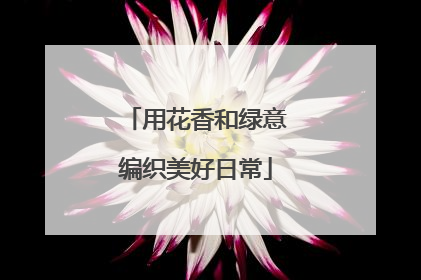 用花香和绿意编织美好日常
