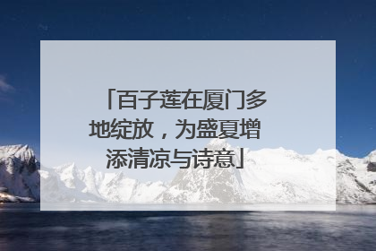 百子莲在厦门多地绽放，为盛夏增添清凉与诗意