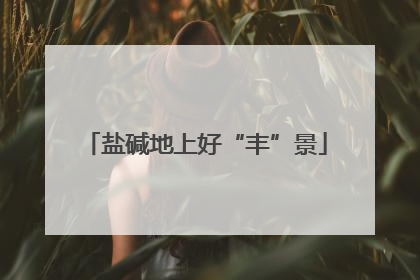 盐碱地上好“丰”景