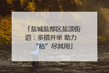 盐城盐都区盐渎街道：多措并举 助力“秸”尽其用