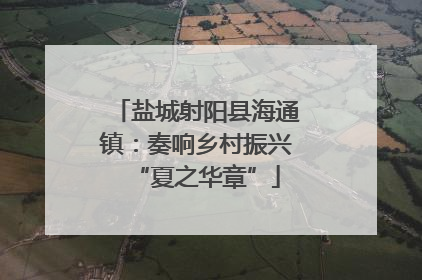 盐城射阳县海通镇：奏响乡村振兴“夏之华章”