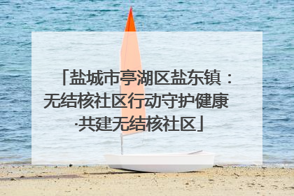 盐城市亭湖区盐东镇：无结核社区行动守护健康 ·共建无结核社区