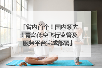省内首个！国内领先！青岛低空飞行监管及服务平台完成部署