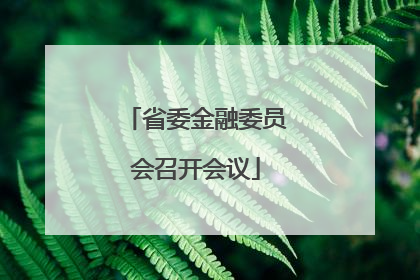 省委金融委员会召开会议