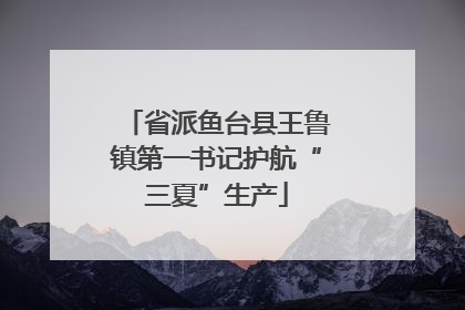 省派鱼台县王鲁镇第一书记护航“三夏”生产