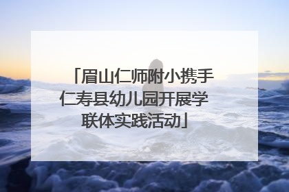 眉山仁师附小携手仁寿县幼儿园开展学联体实践活动